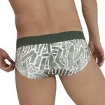 Мужские трусы брифы с принтом цвета хаки Clever INNER CLASSIC BRIEF 113010