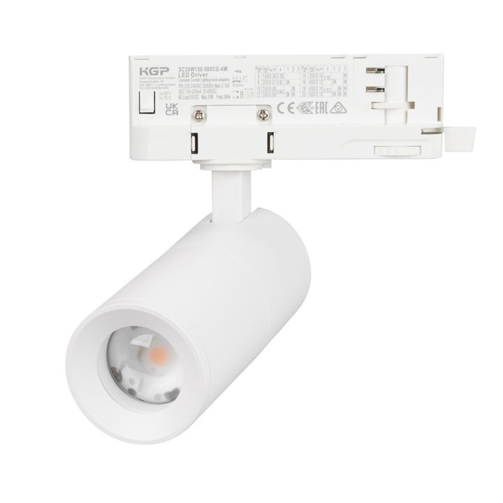 Трековый светодиодный светильник Arlight LGD-Artemis-Track-4TR-R55-12W Day4000 048320