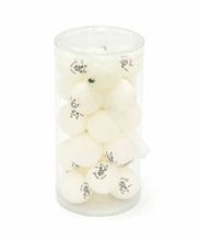 Мячи Dragon Training Gold 2* New (24 шт, бел.) в тубусе