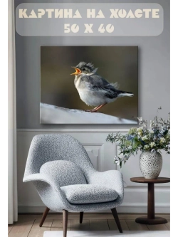 Картина на стену 40 X 50 Птенец