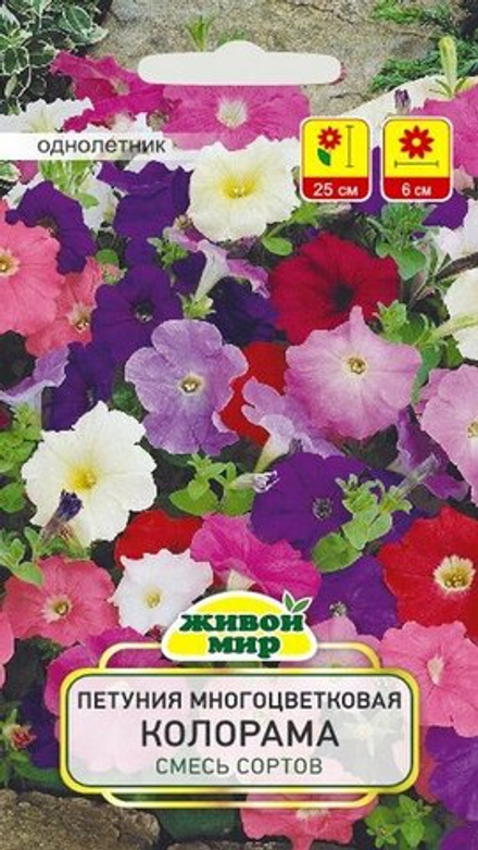 Пeтyния мнoгoцвeткoвaя "ЖМ. Koлopaмa F2" 0,2г., Польша.