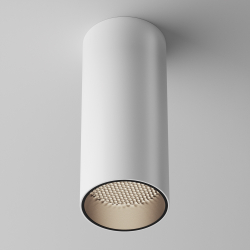 Накладной светильник Maytoni Technical C056CL-L12W4K-W-D-W