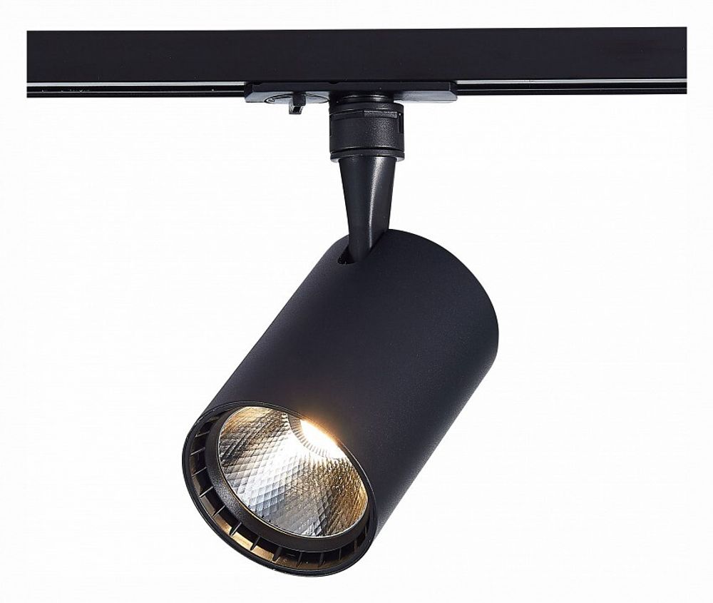 Светильник на штанге ST-Luce Cami ST351.436.30.36