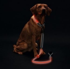 Ошейник для собак, Hunter LED Manoa Glow S (45-50)/2,5, оранжевый