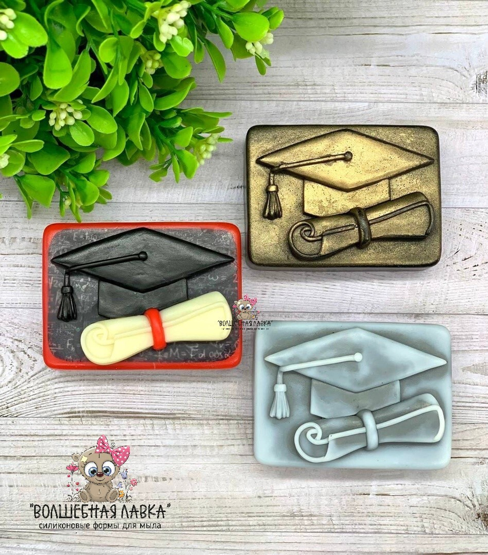 Силиконовая форма Выпускник