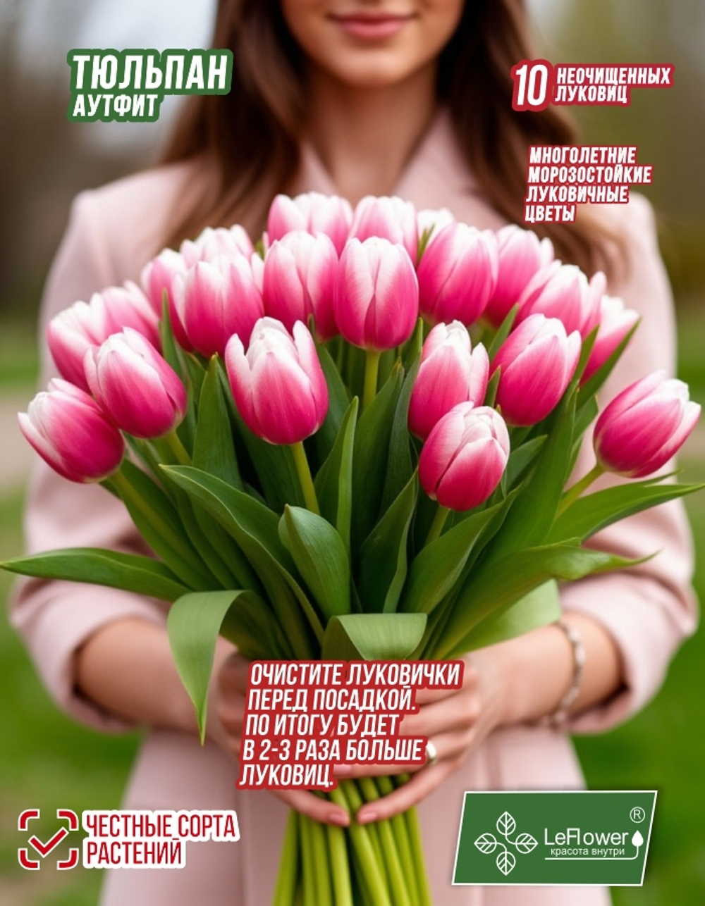 Тюльпан Луковица, Аутфит, 10шт
