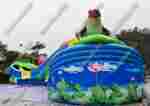 Надувной наземный аквапарк «Пруд с лотосами», 25*25*5 м