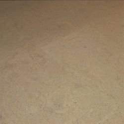 Cork Concept Colors 317v CN, 1,98 м²