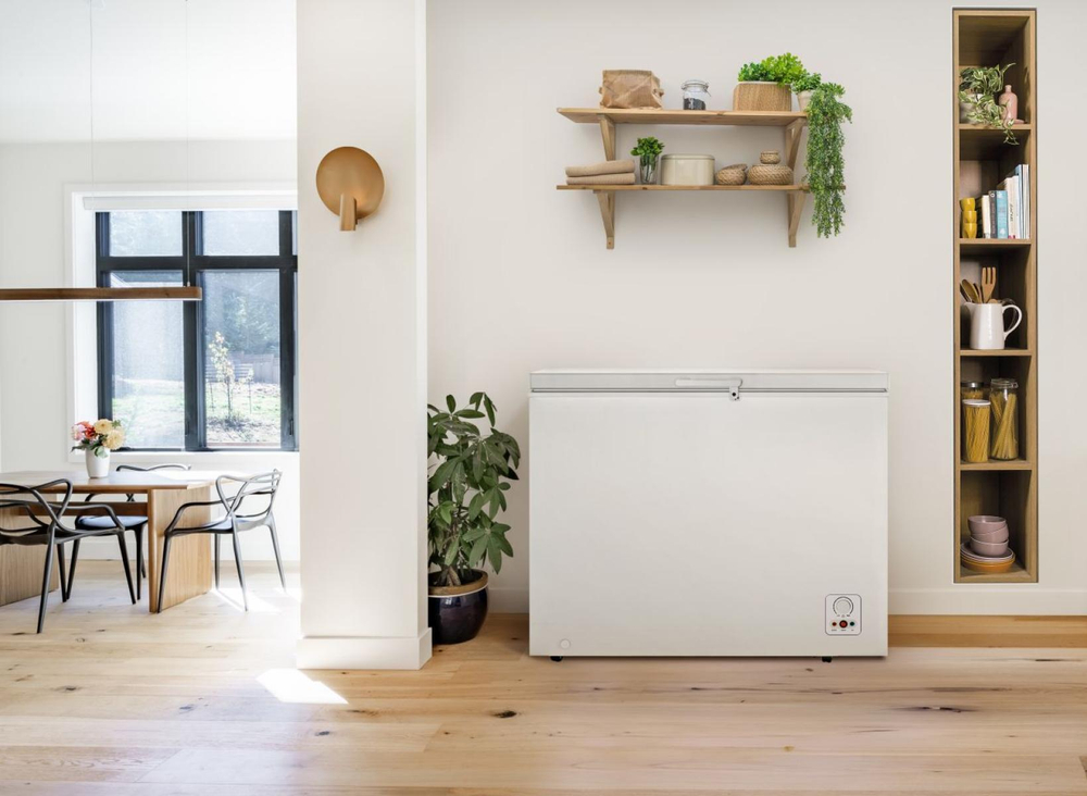 Морозильный ларь Gorenje FH251AW