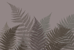 SELVA 1