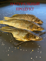 Судак вяленый с Ладожского озера, слабосоленый 1000 грамм