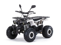 Квадроцикл MOTAX ATV Grizlik 125 cc