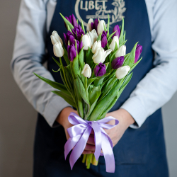 Фиолетовые-белые тюльпаны под  ленту