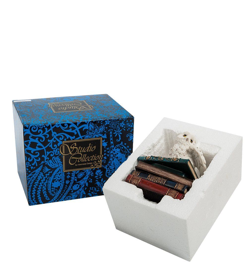 WS-721 Шкатулка «Сова на книгах»