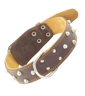 Ошейник двойной с украшением и кольцом кожаный, 45*810мм, Gamma