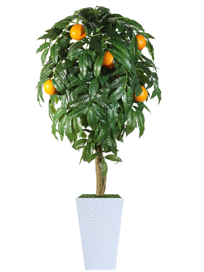 Искусственное дерево Апельсин 180см в высоком белом кашпо ротанг