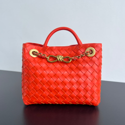 Bottega Veneta Small Andiamo 25 cm