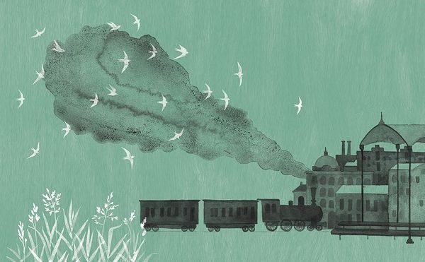 Лето в Михалувке и в Вильгельмувке