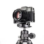 Шаровая штативная головка Benro GX25