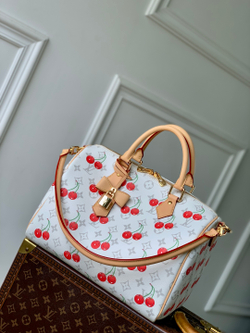 Louis Vuitton Speedy Soft 30