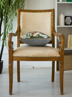 Декоративный гобеленовый чехол для интерьерной подушки Шпиц 38*38