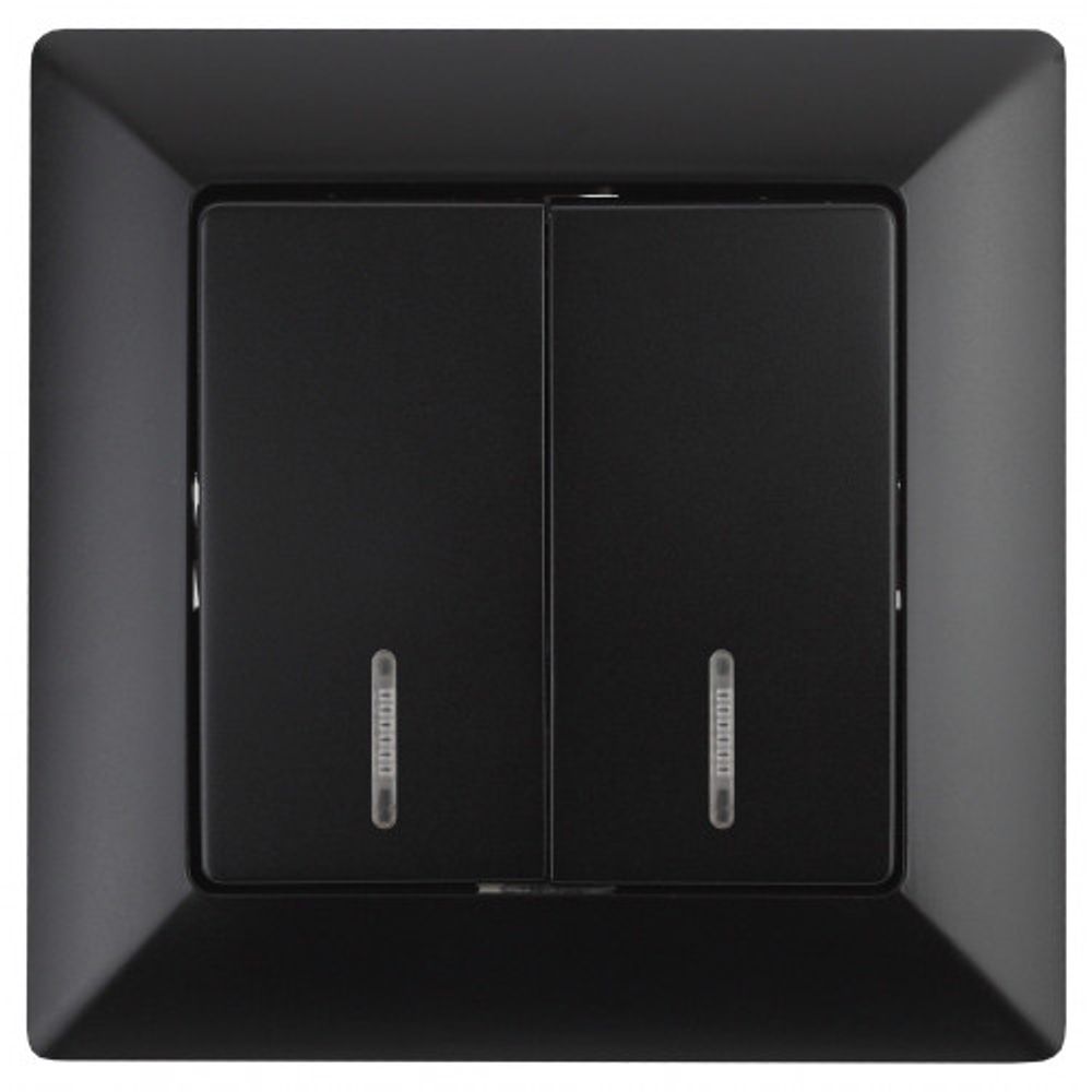 Выключатель Intro Solo 4-105-05 двухклавишный с подсветкой, 10А-250В, IP20, СУ, Solo, антрацит |