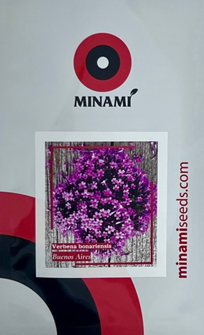 Вербена бонарская Буэнос Айрес 15шт