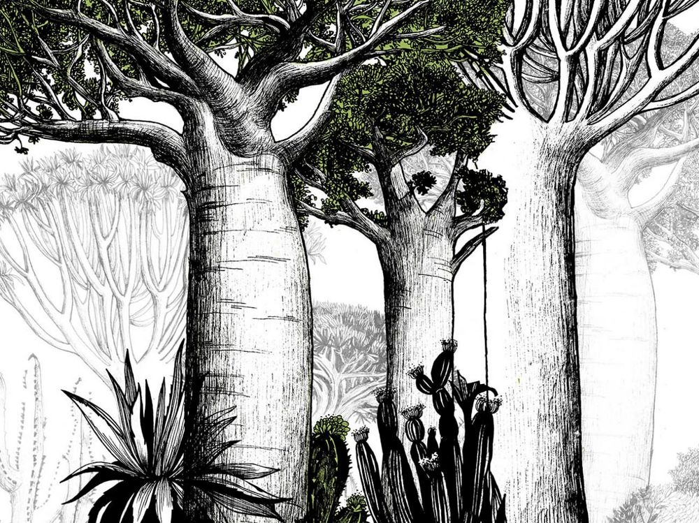 Бесшовная фреска 20129, 2,7 м (Ширина 4 м)