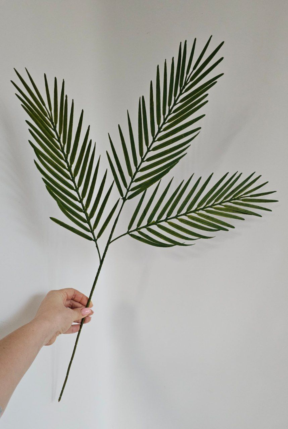 Ветка пальмы Арека / Арт 9092