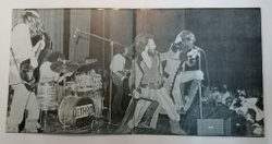 Винтажная виниловая пластинка Jethro Tull Benefit (Germany 1973)