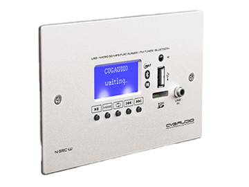 CVGAUDIO N-SRC-W внешний универсальный настенный источник сигнала