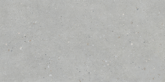 60x120 FlakeCement Серый Матовый R10A