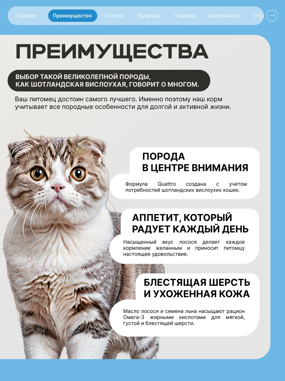 Корм сухой для взрослых кошек породы Шотландская вислоухая, с лососем, 2 кг, QUATTRO