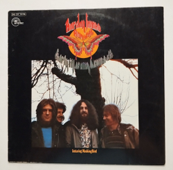 Винтажная виниловая пластинка LP Barclay James Harvest Early Morning Onwards (Germany 1980)