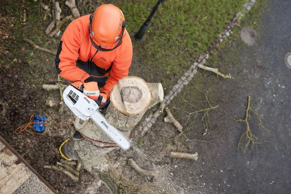 Бензопила Stihl MS 201 TC-M шина 30 см