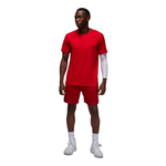 Баскетбольные шорты Jordan Dri-FIT Sport Shorts Red