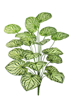 Искусственное растение Алоказия Арма салатовая 100см