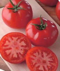 Генерал F1 семена томата детерминантного (Sakata / Саката)