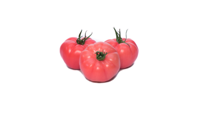 Гюсто F1 семена томата индетерминантного ( Yuksel Tohum / )