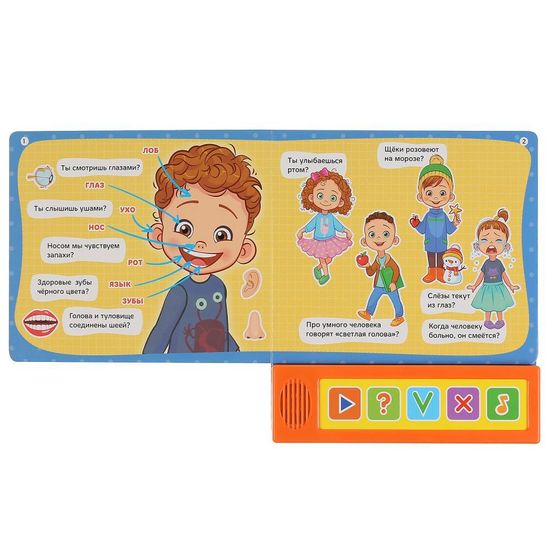 Викторина (5 звук. кнопок). Тело человека.  Формат: 200х175мм, 10 карт. стр. "Умка"