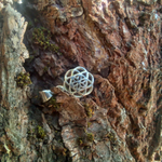 Кулон СЕМЯ ЖИЗНИ малый, серебро