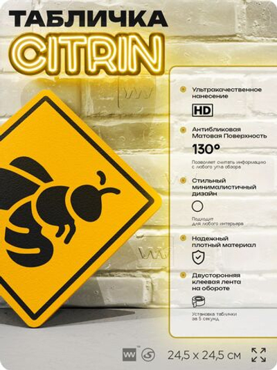 Табличка прикольная "Осторожно, пчелы" на дверь и стену, информационная и предупреждающая, декоративный знак, 24,5х24,5 см, пластиковая, Айдентика Технолоджи