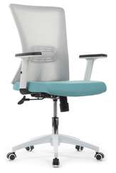 Кресло RCH B259Y-01 Серый/Голубой