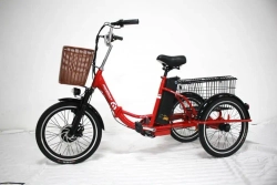 Электровелосипед Green Camel Трайк-20 (R20 500W 48V) Складной