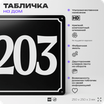 Адресная табличка с номером дома 203, на фасад и забор, черная, 25х25 см, Айдентика Технолоджи