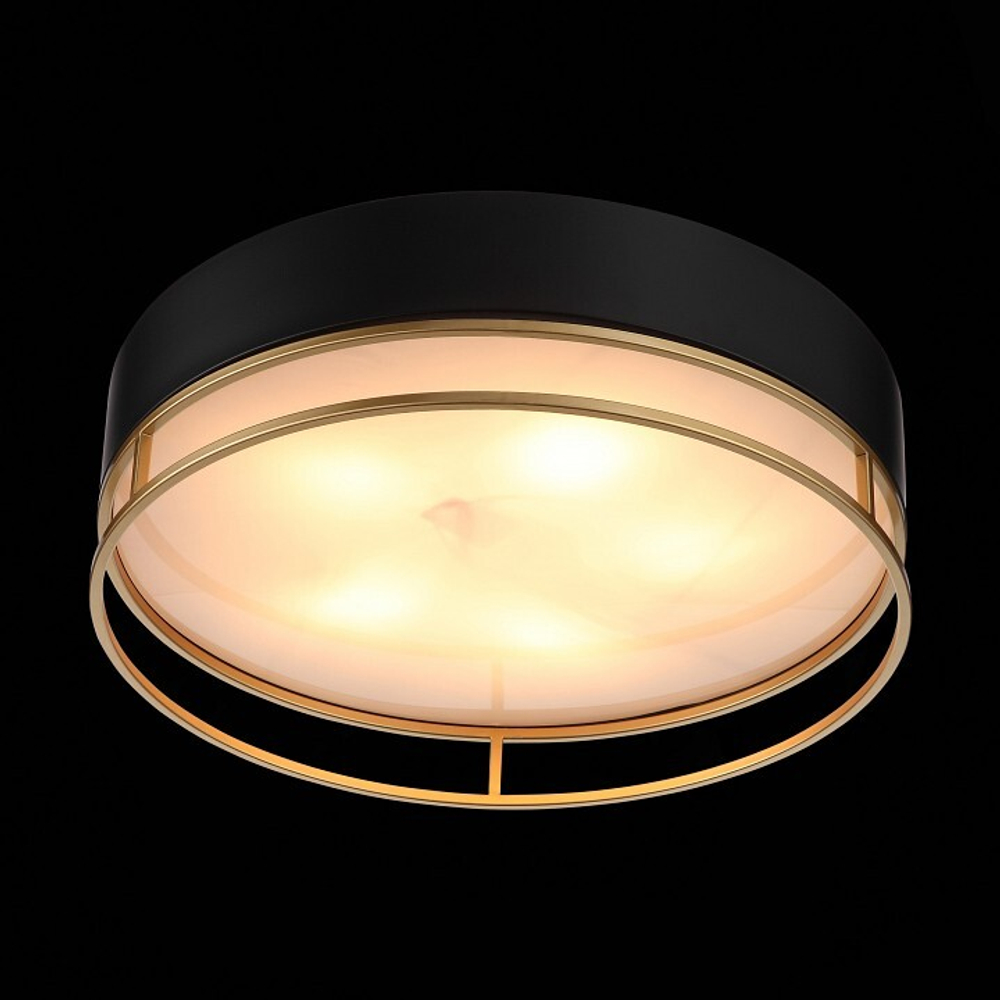 Накладной светильник ST-Luce SL1127.432.05