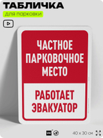 Табличка для парковки "Частное парковочное место, работает эвакуатор", для дома, офиса, организаций, 40х30 см, Silver Plane x Айдентика Технолоджи