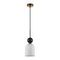 Подвесной светильник Odeon Light Lolla Midcent 4361/1B