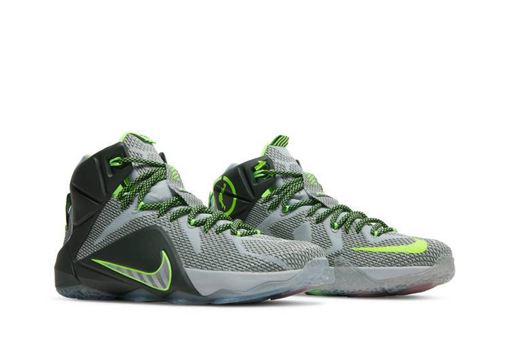 Кроссовки Nike Lebron 12 Dunk Force 12