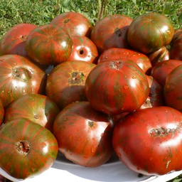 Полосатая Комната